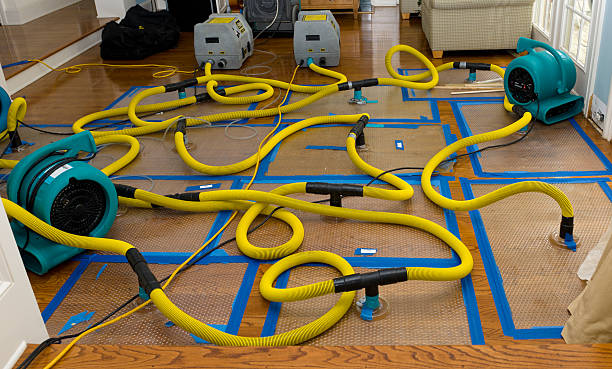 Professional Sewage Cleanup technician working in Orwell, OH